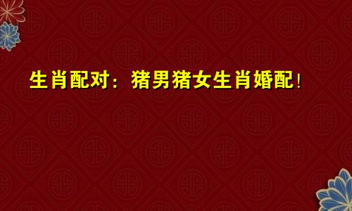 生肖配对：猪男猪女生肖婚配！