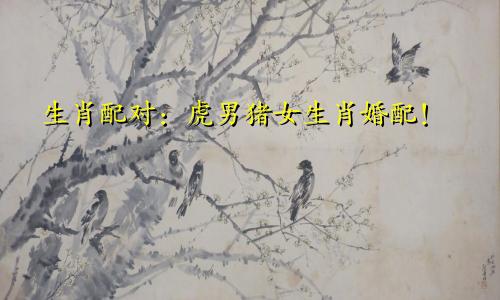 生肖配对：虎男猪女生肖婚配！
