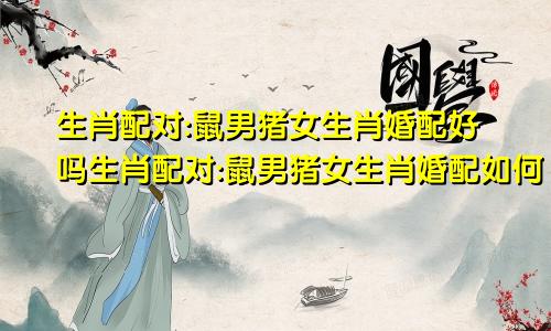 生肖配对:鼠男猪女生肖婚配好吗生肖配对:鼠男猪女生肖婚配如何
