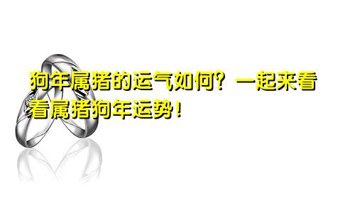 狗年属猪的运气如何？一起来看看属猪狗年运势！
