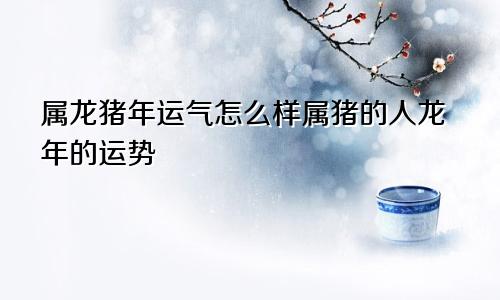 属龙猪年运气怎么样属猪的人龙年的运势