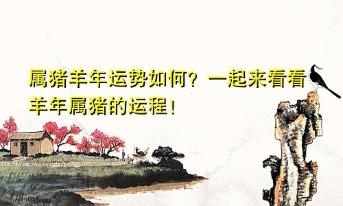 属猪羊年运势如何？一起来看看羊年属猪的运程！