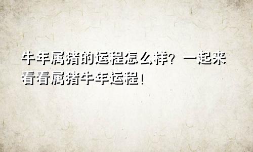 牛年属猪的运程怎么样？一起来看看属猪牛年运程！