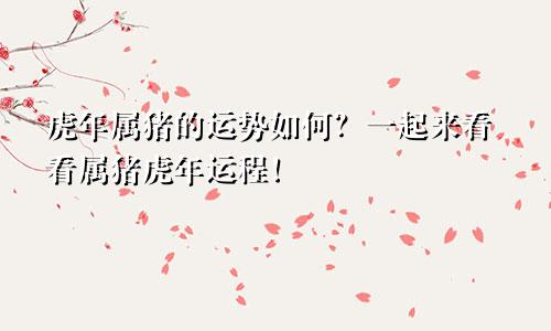 虎年属猪的运势如何？一起来看看属猪虎年运程！