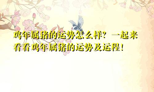 鸡年属猪的运势怎么样？一起来看看鸡年属猪的运势及运程！