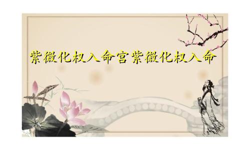 紫微化权入命宫紫微化权入命