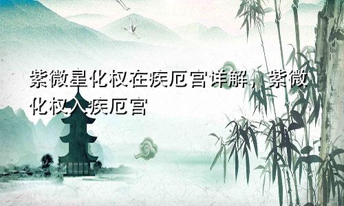 紫微星化权在疾厄宫详解,紫微化权入疾厄宫