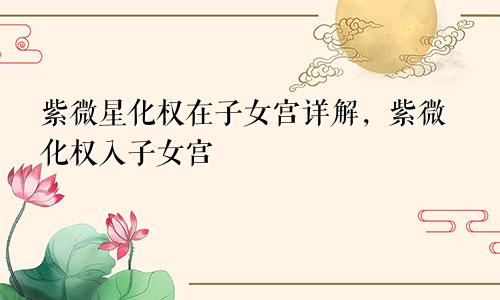 紫微星化权在子女宫详解,紫微化权入子女宫