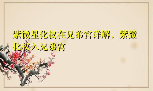 紫微星化权在兄弟宫详解,紫微化权入兄弟宫