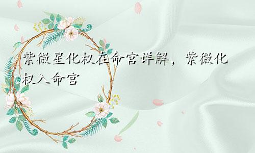 紫微星化权在命宫详解,紫微化权入命宫