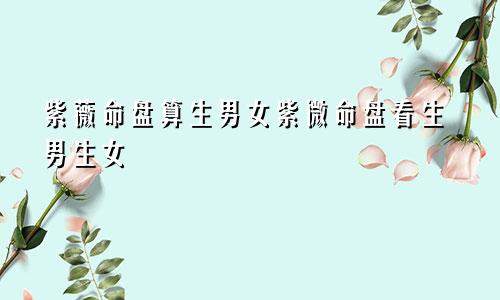 紫薇命盘算生男女紫微命盘看生男生女