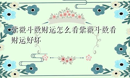 紫微斗数财运怎么看紫薇斗数看财运好坏