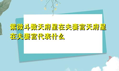 紫微斗数天府星在夫妻宫天府星在夫妻宫代表什么