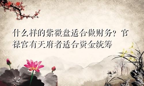 什么样的紫微盘适合做财务?官禄宫有天府者适合资金统筹