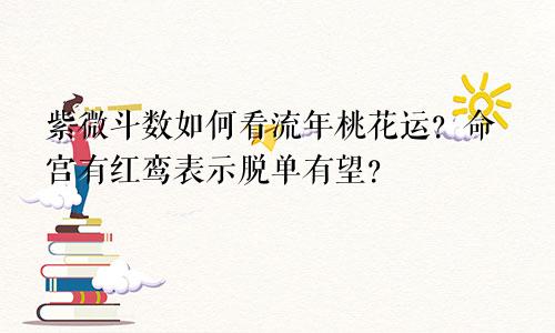 紫微斗数如何看流年桃花运?命宫有红鸾表示脱单有望?