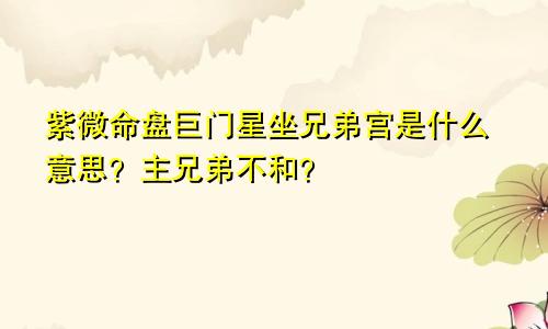 紫微命盘巨门星坐兄弟宫是什么意思?主兄弟不和?