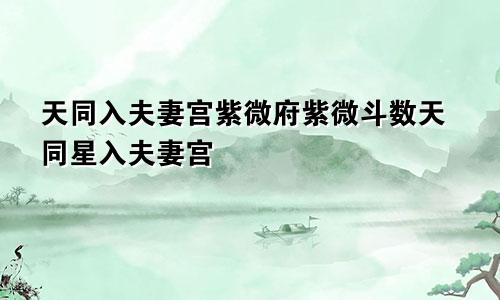 天同入夫妻宫紫微府紫微斗数天同星入夫妻宫