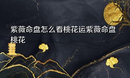 紫薇命盘怎么看桃花运紫薇命盘桃花