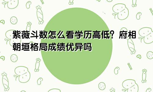 紫薇斗数怎么看学历高低?府相朝垣格局成绩优异吗