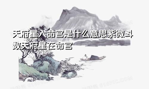 天府星入命宫是什么意思紫微斗数天府星在命宫