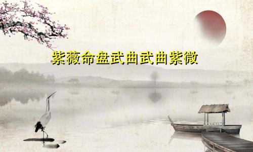 紫薇命盘武曲武曲紫微