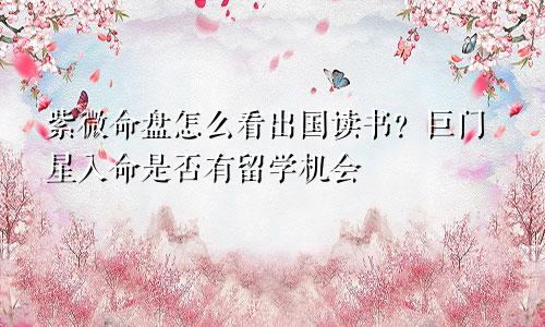 紫微命盘怎么看出国读书?巨门星入命是否有留学机会