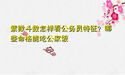紫微斗数怎样看公务员特征?哪些命格能吃公家饭