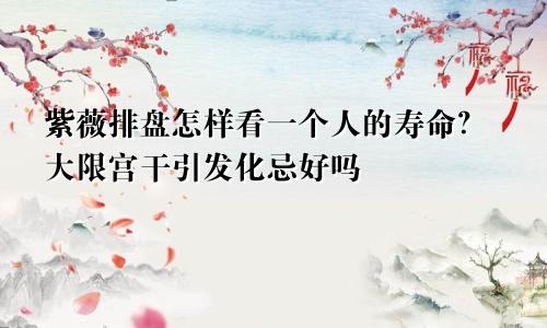 紫薇排盘怎样看一个人的寿命?大限宫干引发化忌好吗