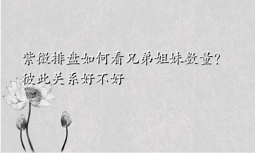 紫微排盘如何看兄弟姐妹数量?彼此关系好不好