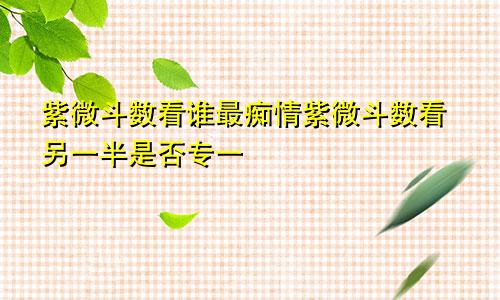 紫微斗数看谁最痴情紫微斗数看另一半是否专一