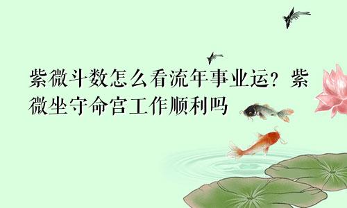 紫微斗数怎么看流年事业运?紫微坐守命宫工作顺利吗