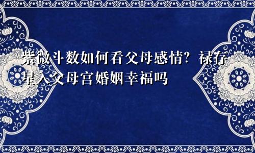 紫微斗数如何看父母感情?禄存星入父母宫婚姻幸福吗