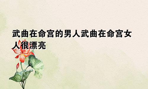 武曲在命宫的男人武曲在命宫女人很漂亮