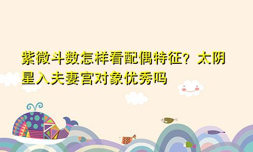 紫微斗数怎样看配偶特征?太阴星入夫妻宫对象优秀吗