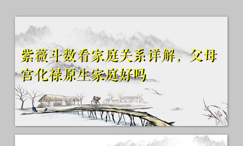 紫薇斗数看家庭关系详解,父母宫化禄原生家庭好吗