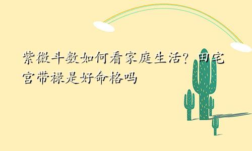 紫微斗数如何看家庭生活?田宅宫带禄是好命格吗