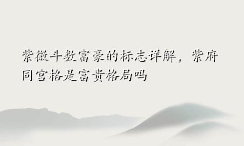 紫微斗数富豪的标志详解,紫府同宫格是富贵格局吗