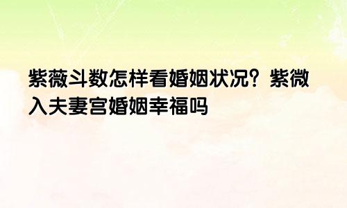 紫薇斗数怎样看婚姻状况?紫微入夫妻宫婚姻幸福吗