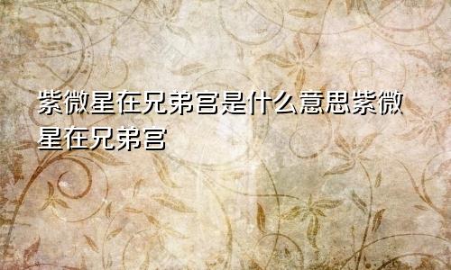 紫微星在兄弟宫是什么意思紫微星在兄弟宫