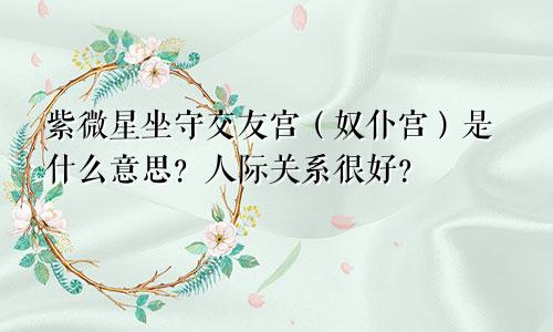 紫微星坐守交友宫(奴仆宫)是什么意思?人际关系很好?