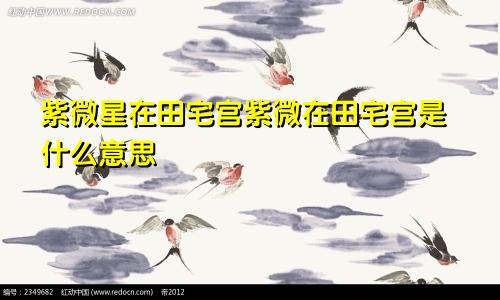 紫微星在田宅宫紫微在田宅宫是什么意思