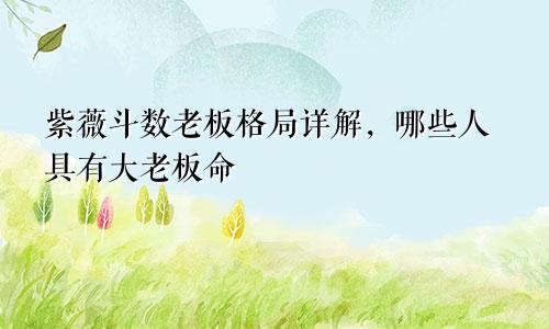 紫薇斗数老板格局详解,哪些人具有大老板命