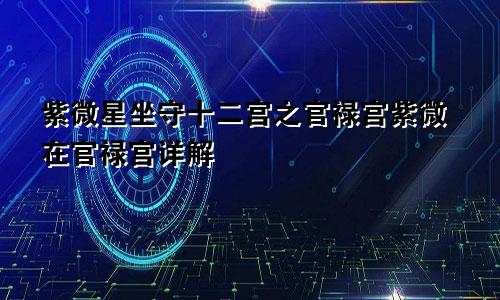 紫微星坐守十二宫之官禄宫紫微在官禄宫详解