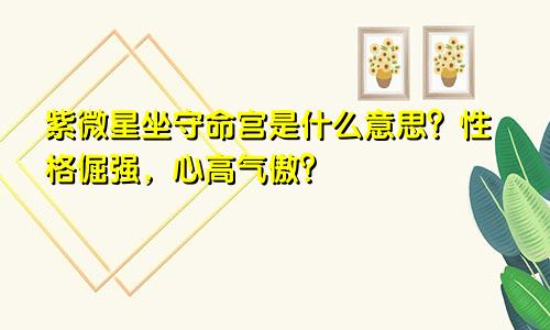 紫微星坐守命宫是什么意思?性格倔强,心高气傲?