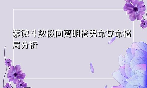 紫微斗数极向离明格男命女命格局分析