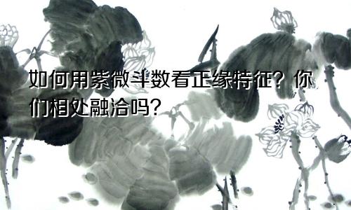 如何用紫微斗数看正缘特征?你们相处融洽吗?