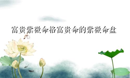 富贵紫微命格富贵命的紫微命盘