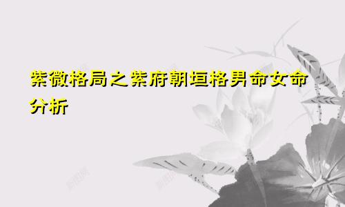 紫微格局之紫府朝垣格男命女命分析