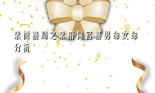 紫微格局之紫府同宫格男命女命分析