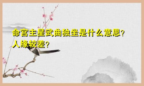 命宫主星武曲独坐是什么意思?人缘较差?